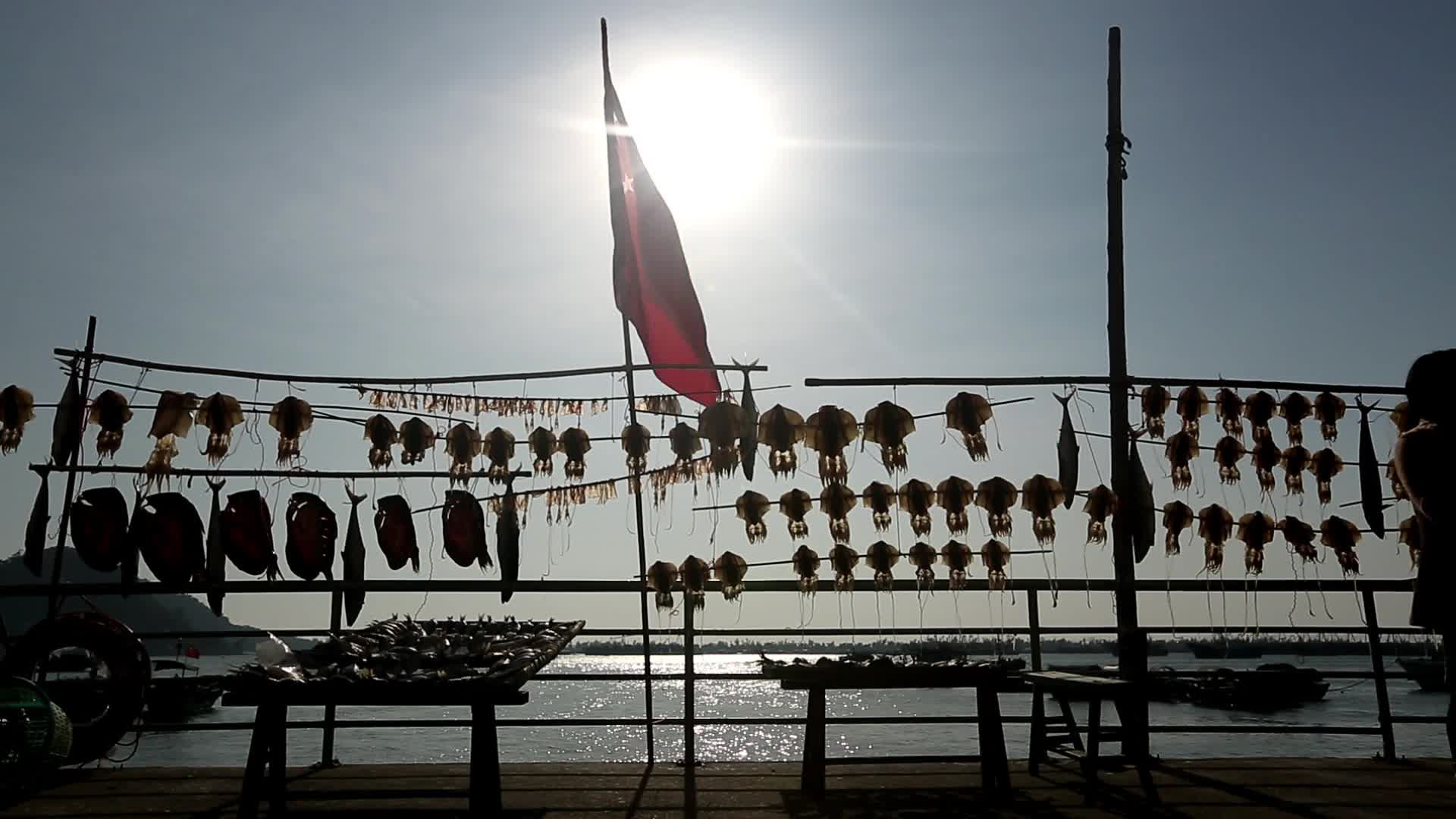 海边码头渔民收拾渔网渔家生活高清实拍视频视频的预览图