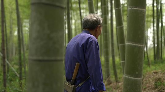 688老人走在竹林里抚摸竹子寻找材料视频的预览图