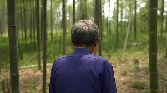 694老人走在竹林里抚摸竹子寻找材料视频的预览图