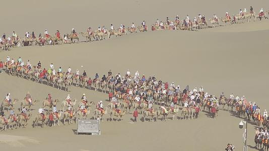 鸣沙山月牙泉骆驼队视频的预览图