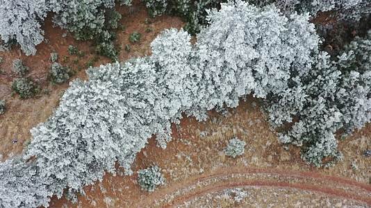 梁王山雪景自然风光视频的预览图