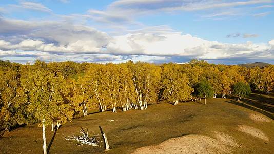 乌兰布统的秋天4K高清航拍视频视频的预览图