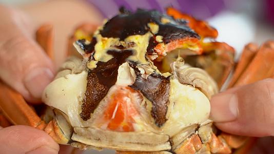 传统美食清蒸大闸蟹螃蟹慢动作视频的预览图