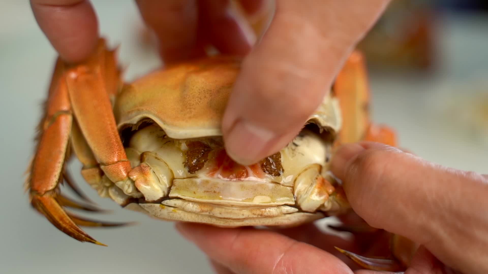 传统美食清蒸大闸蟹螃蟹慢动作视频的预览图