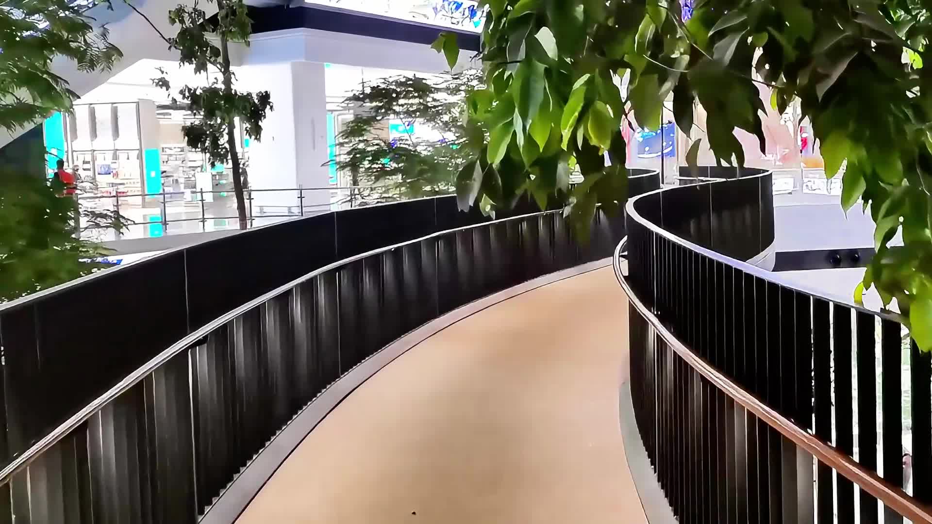 走过机场植物园的天桥视频的预览图