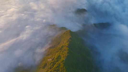 武陵山区清晨雾气流动山涧4K高清实拍视频的预览图