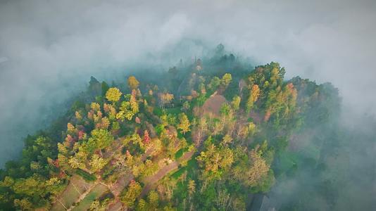 武陵山区深秋清晨美景4K高清实拍视频的预览图