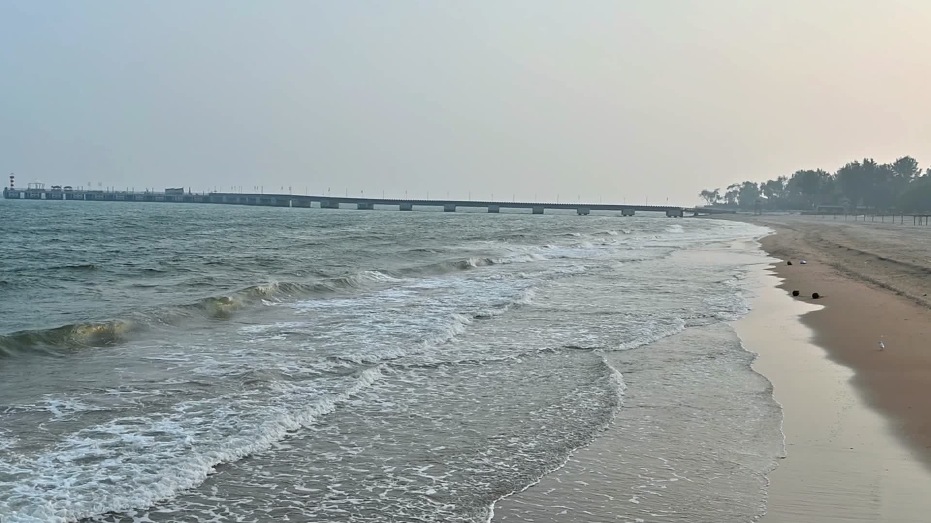 秦皇岛老龙头海岸沙滩视频的预览图