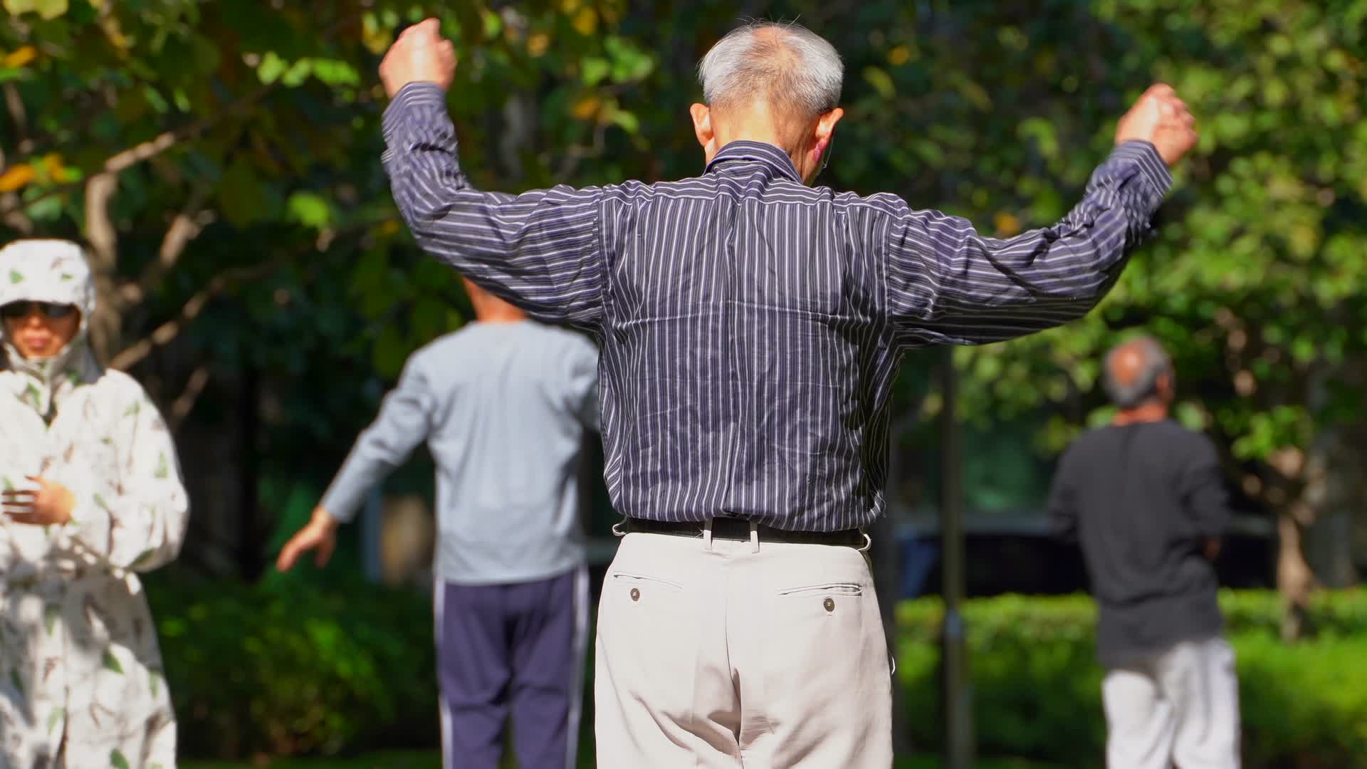 老人在公园里锻炼身体4K视频的预览图