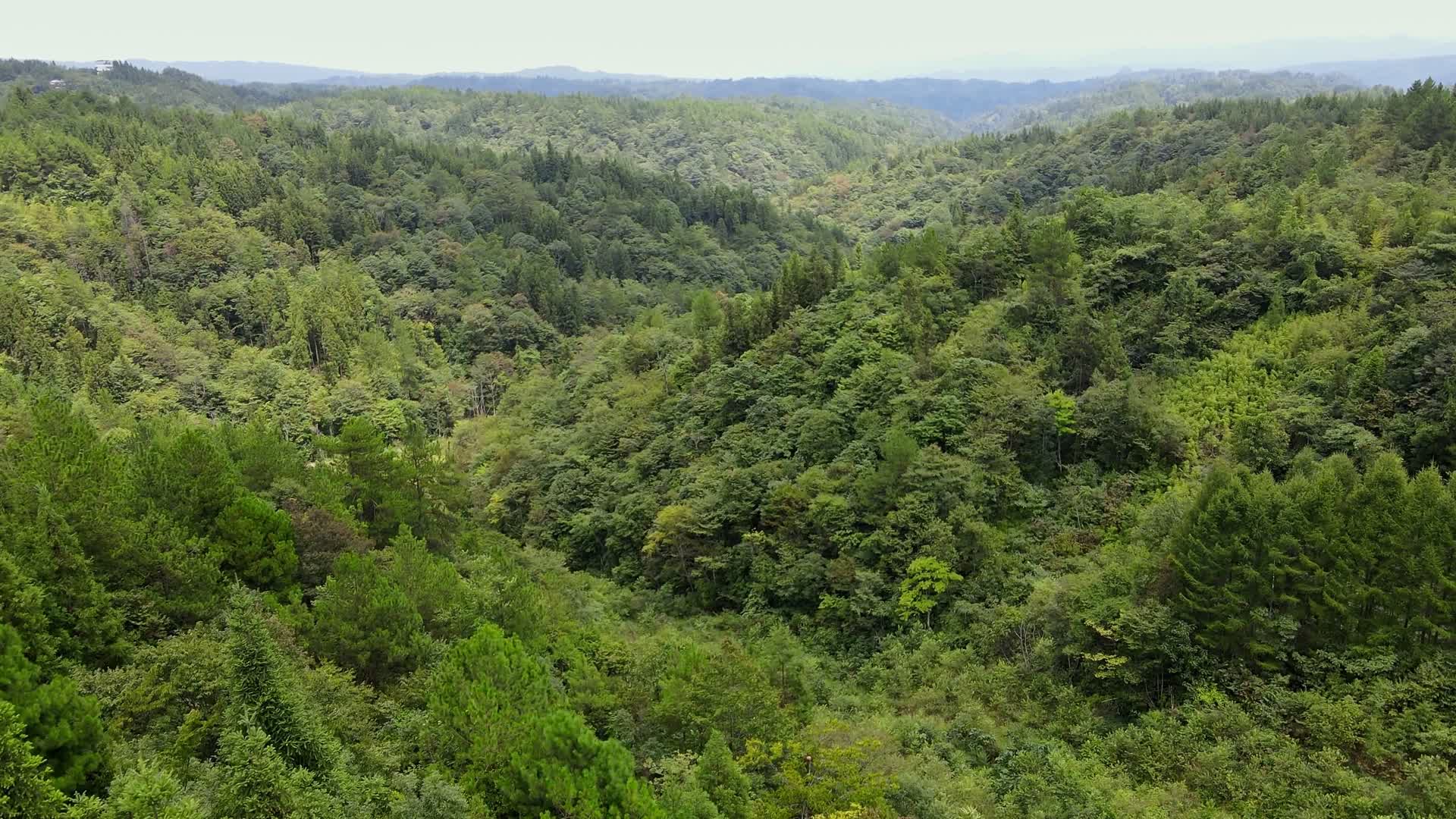 黄水森林4K高清航拍视频视频的预览图
