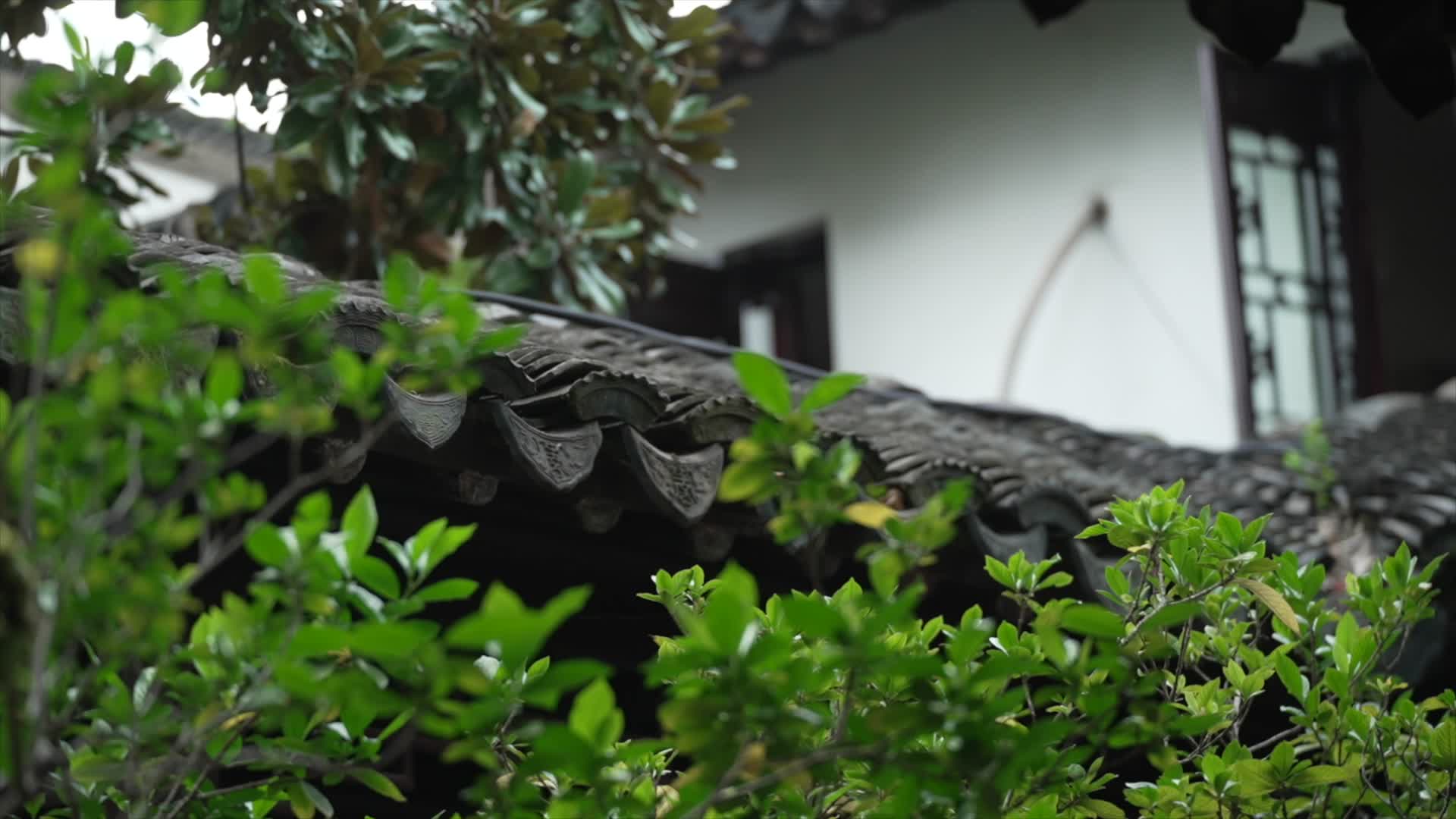 中国风唯美空镜古典园林视频的预览图