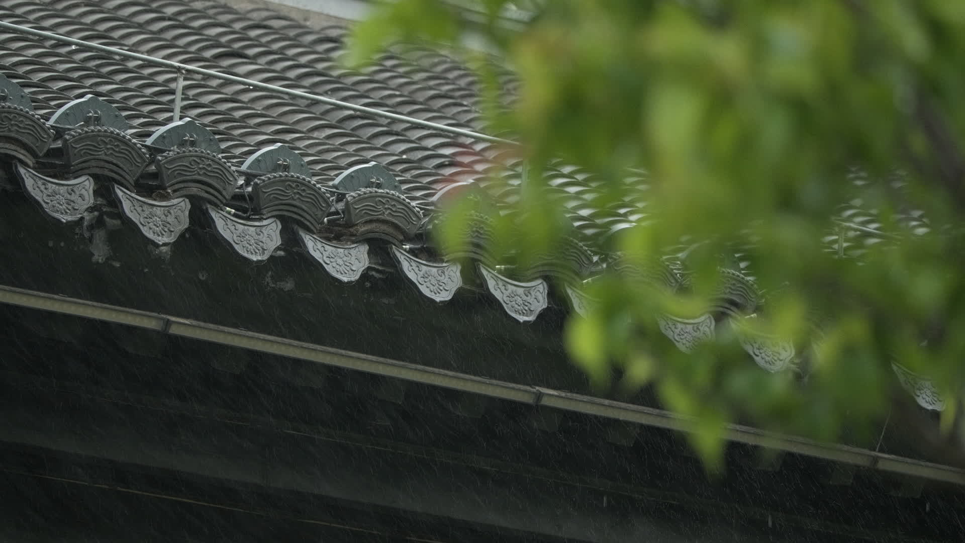 阴天下雨天气雨滴水滴视频的预览图