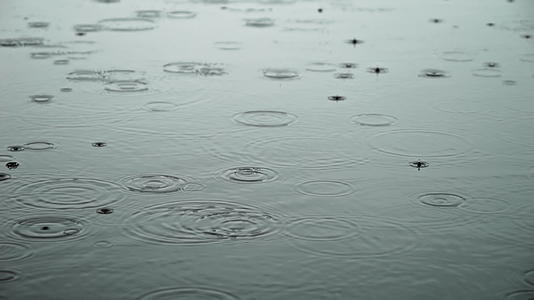 阴天下雨天气雨滴水滴视频的预览图
