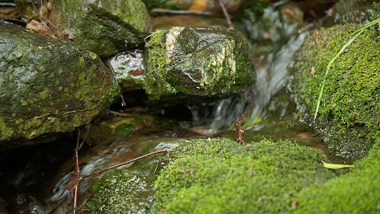 山泉水矿泉水清澈潺潺小溪流喷泉瀑布温泉视频的预览图