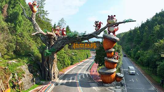4K重庆酉阳松鼠丛林松鼠乐园旅游景区视频的预览图