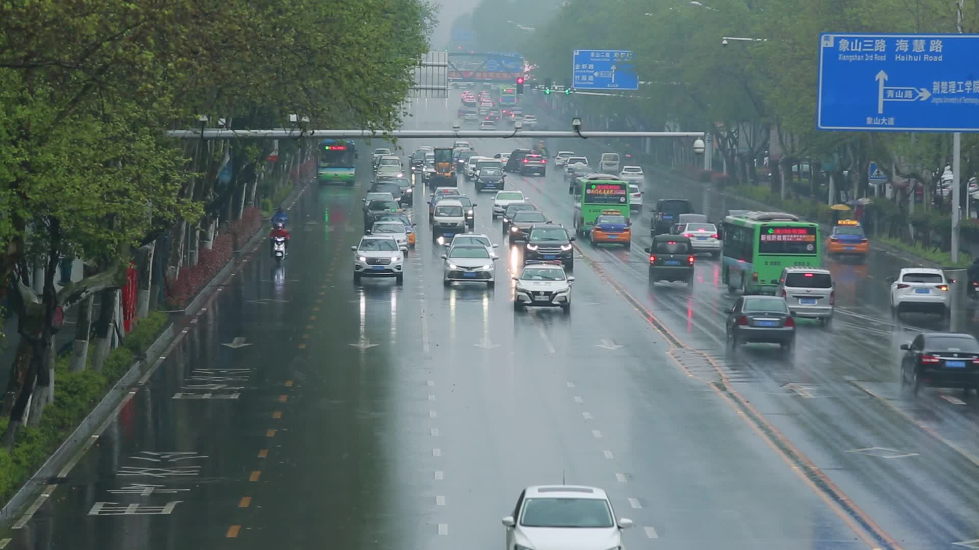 雨中行人斑马线车流视频的预览图