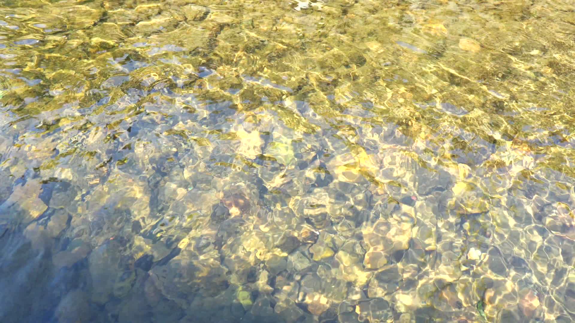 合集野外清澈见底的小溪水流满地石头大自然视频的预览图