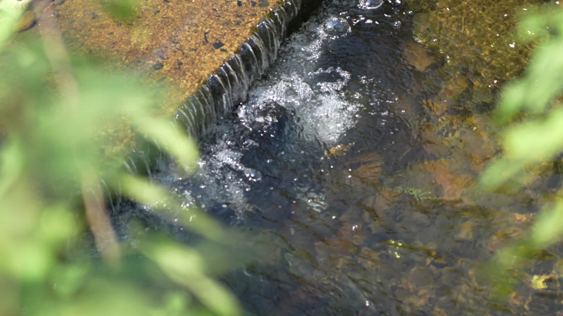 835大自然小溪流水清澈水流声视频的预览图