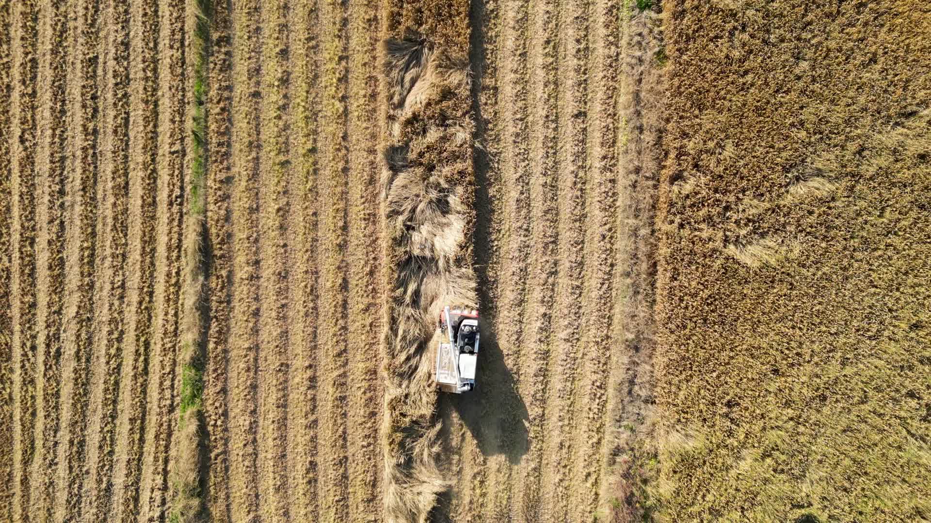 农业机械化耕地航拍4K60视频的预览图