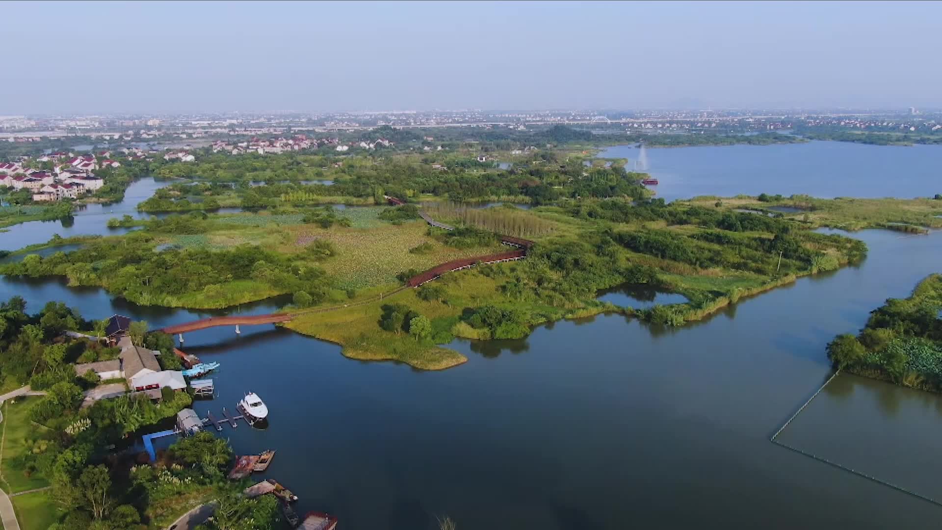 合集德清县下渚湖湿地风景区视频的预览图