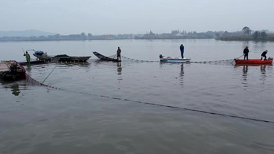 合集德清县下渚湖湿地过年打网捞鱼视频的预览图