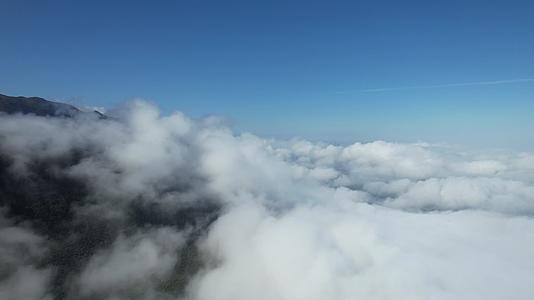 自然洁白云海唯美空镜航拍视频视频的预览图