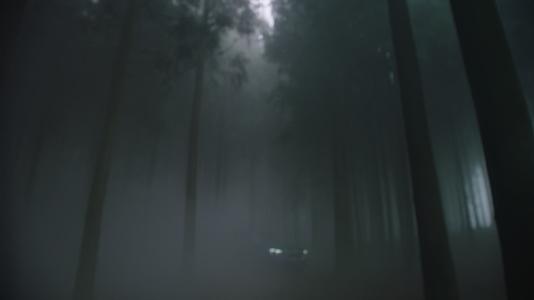 4k实拍宝马ix1森林烟雾氛围广告视频的预览图