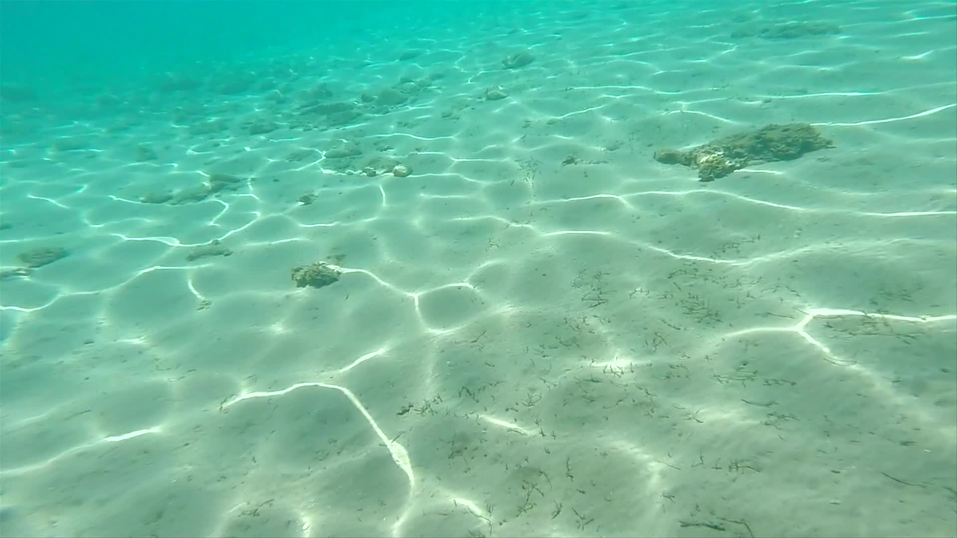 游泳潜水抖音独白背景视频的预览图