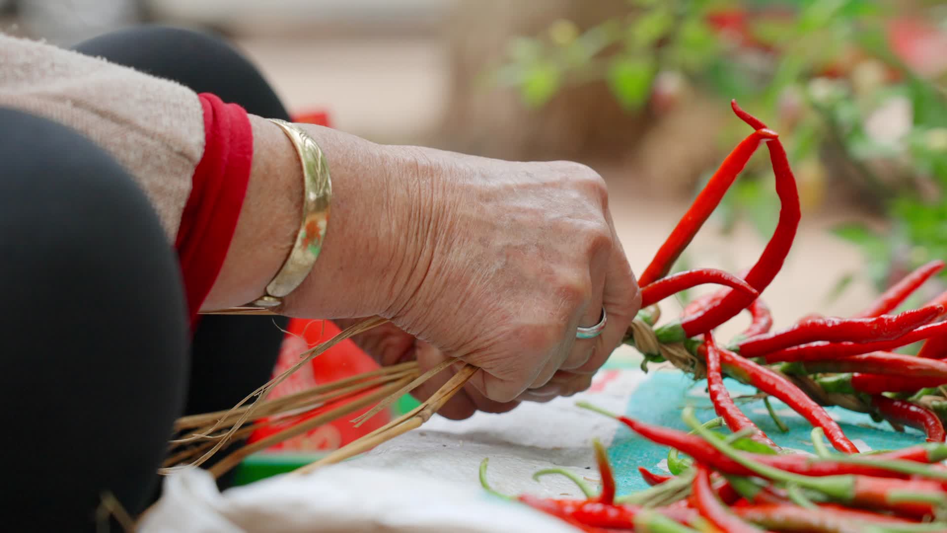 农忙时节农村忙着穿红辣椒的农民老奶奶特写视频的预览图