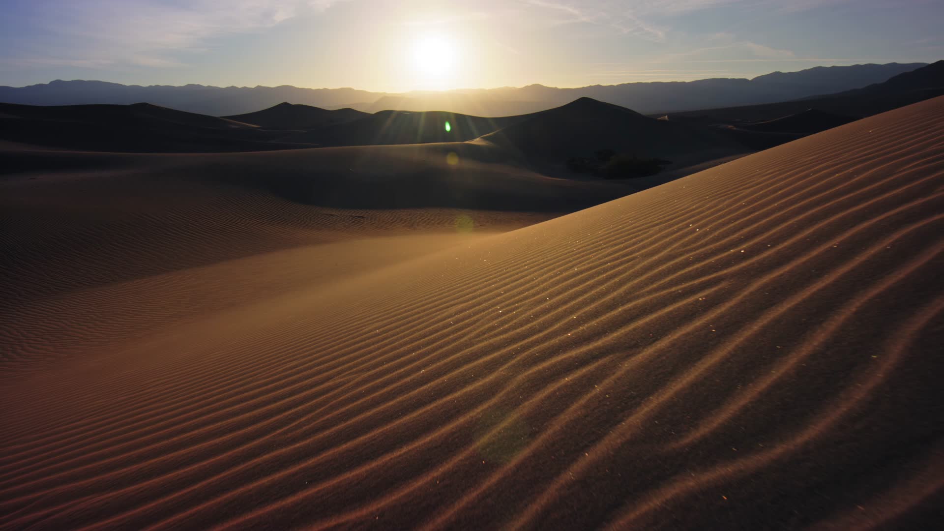 航拍金色沙漠视频的预览图