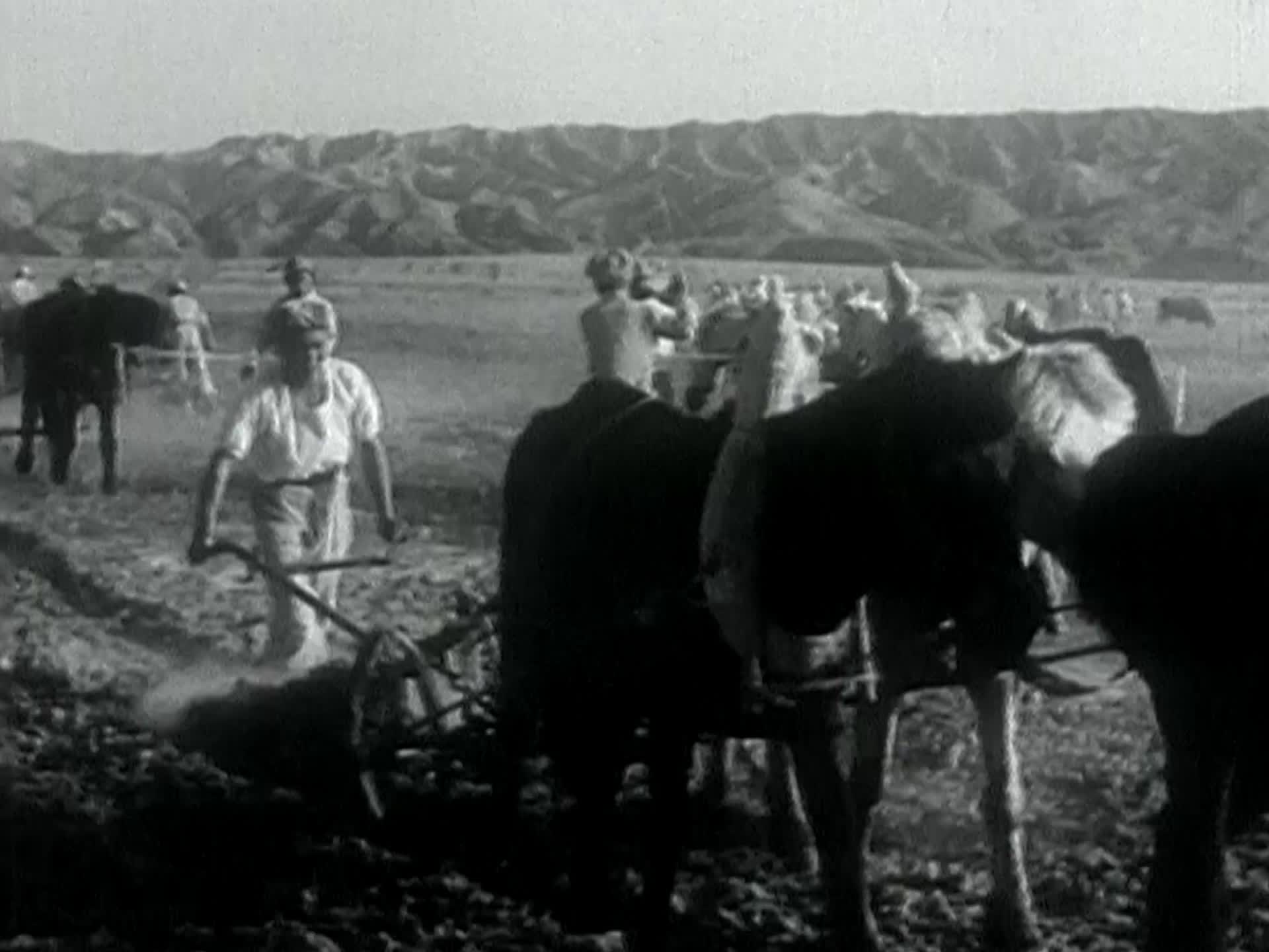 1952年经济恢复工农商全面恢复五十年代GDP翻倍全国社会复苏影像资料工农商复苏大建设视频的预览图