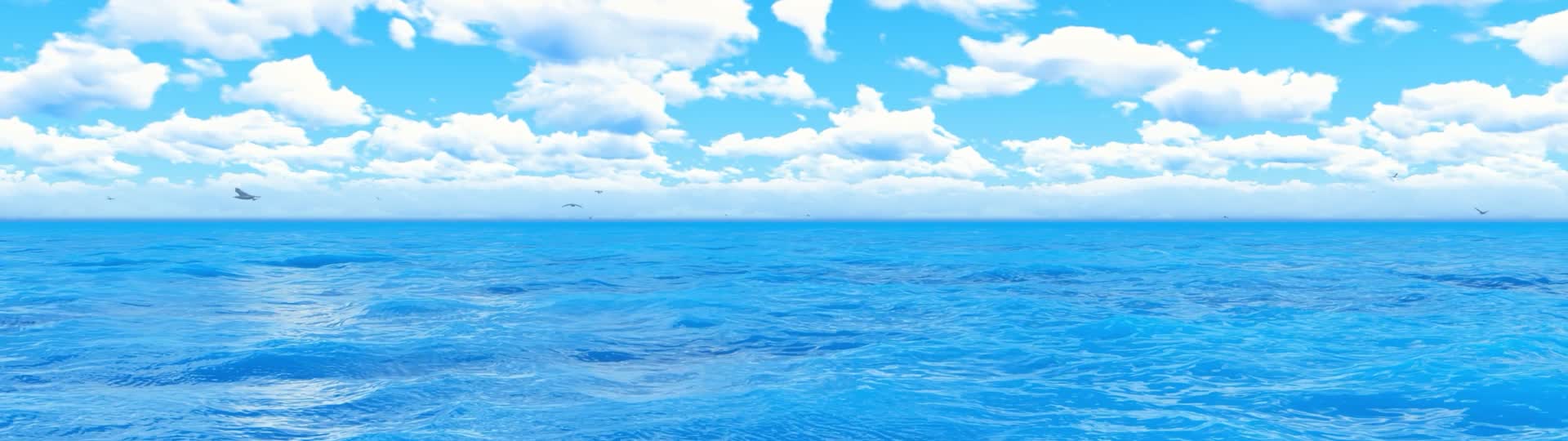 蓝天白云大海飞鸟4K宽屏无缝循环2视频的预览图