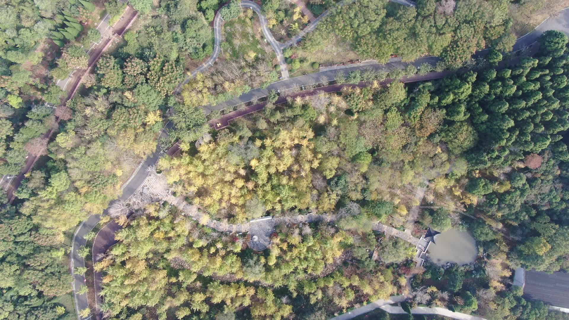 龙泉公园步道2视频的预览图
