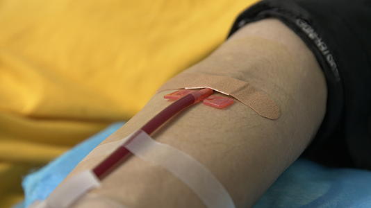 献血抽血视频的预览图