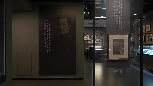 鲁迅作品集鲁迅肖像视频的预览图