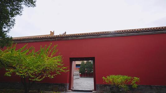 故宫太庙红墙金瓦大宫殿视频的预览图