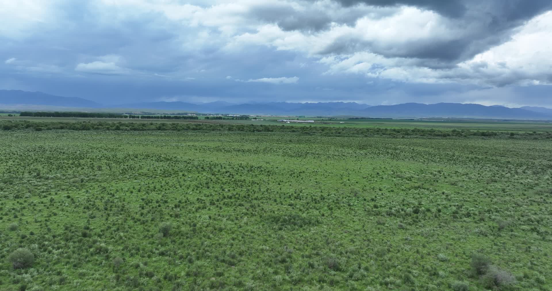 湿地航拍风景视频的预览图