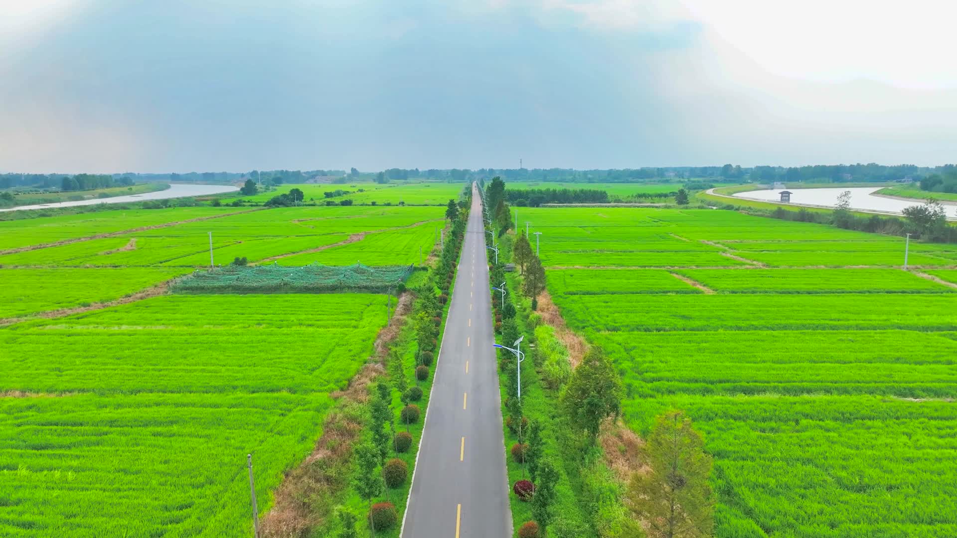 7分钟乡村振兴乡村公路美丽稻田视频的预览图