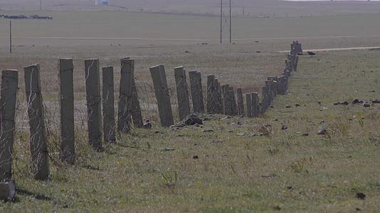 风力发电大风车草原马场放马内蒙古草场视频的预览图