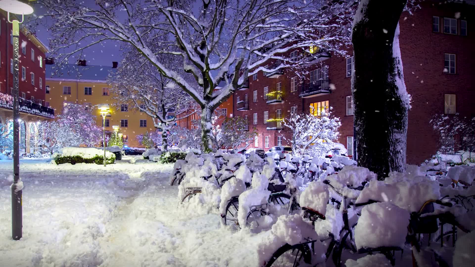 街道雪景视频的预览图
