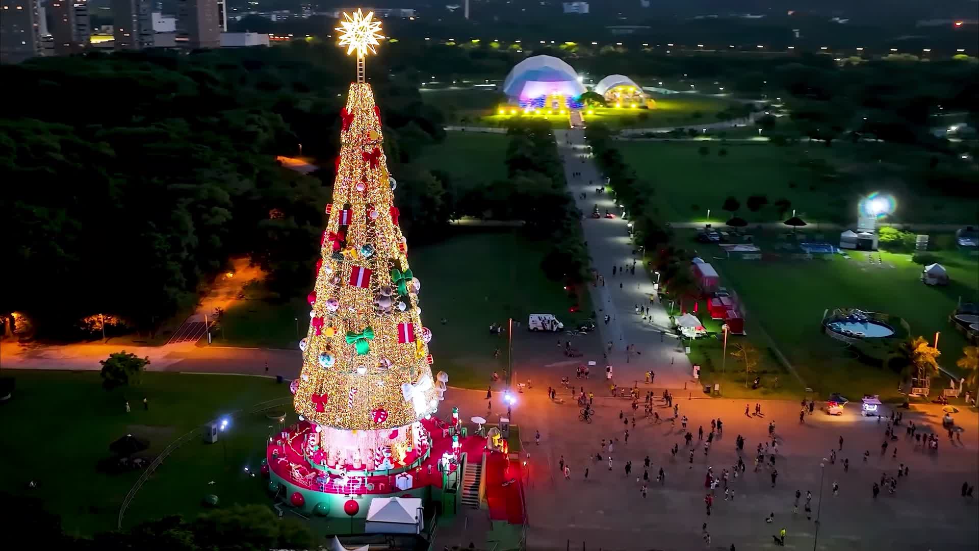 圣诞树灯塔视频的预览图