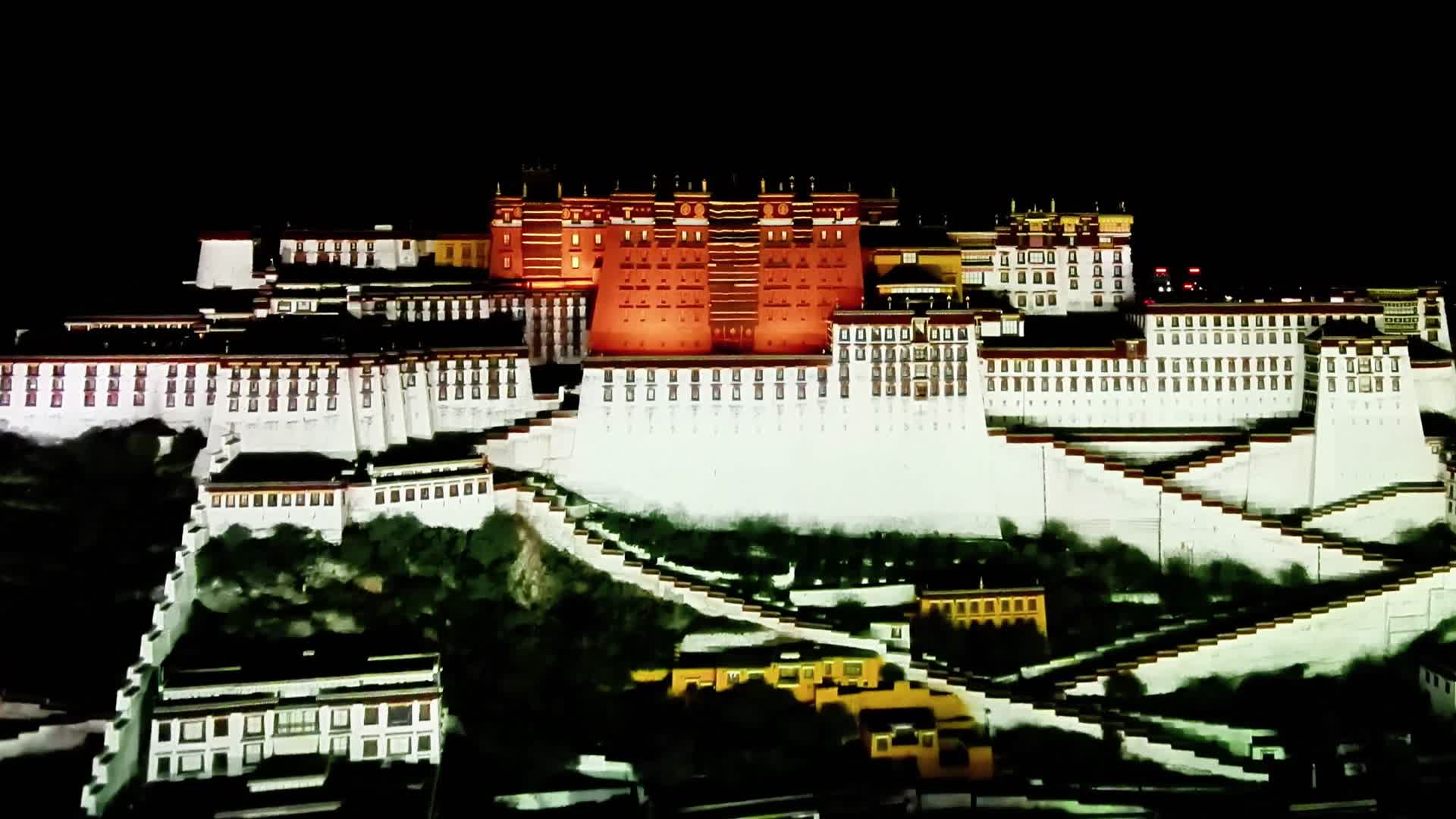 布达拉宫夜景4K航拍视频视频的预览图