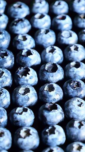 蓝莓大蓝莓水果蓝莓果蓝莓竖屏视频的预览图