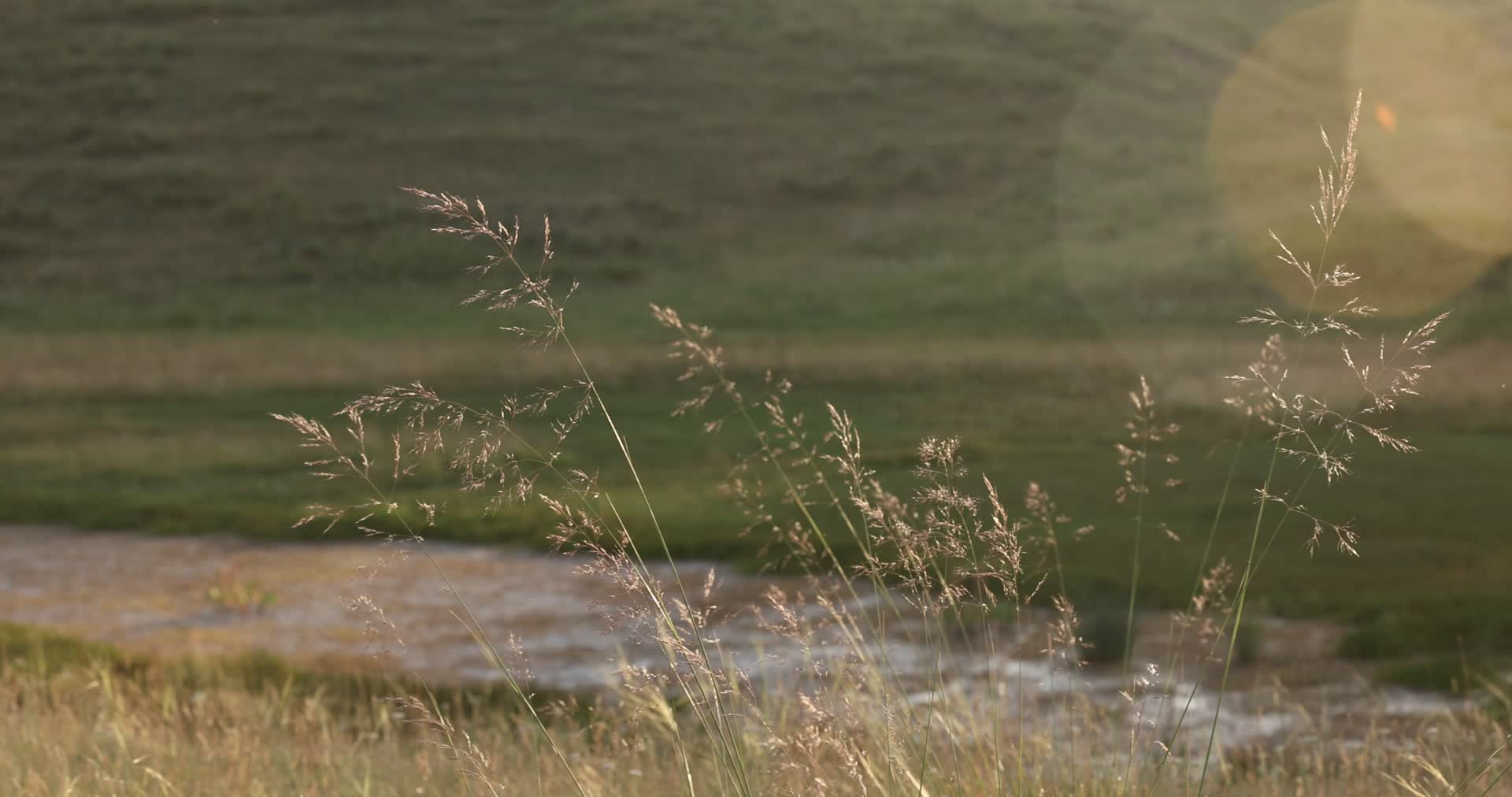 河流草原群山午后骑马的人和风景视频的预览图