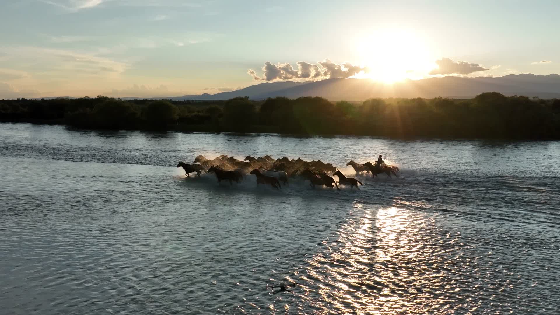 天马浴河河流马匹森林黄昏航拍风景视频的预览图