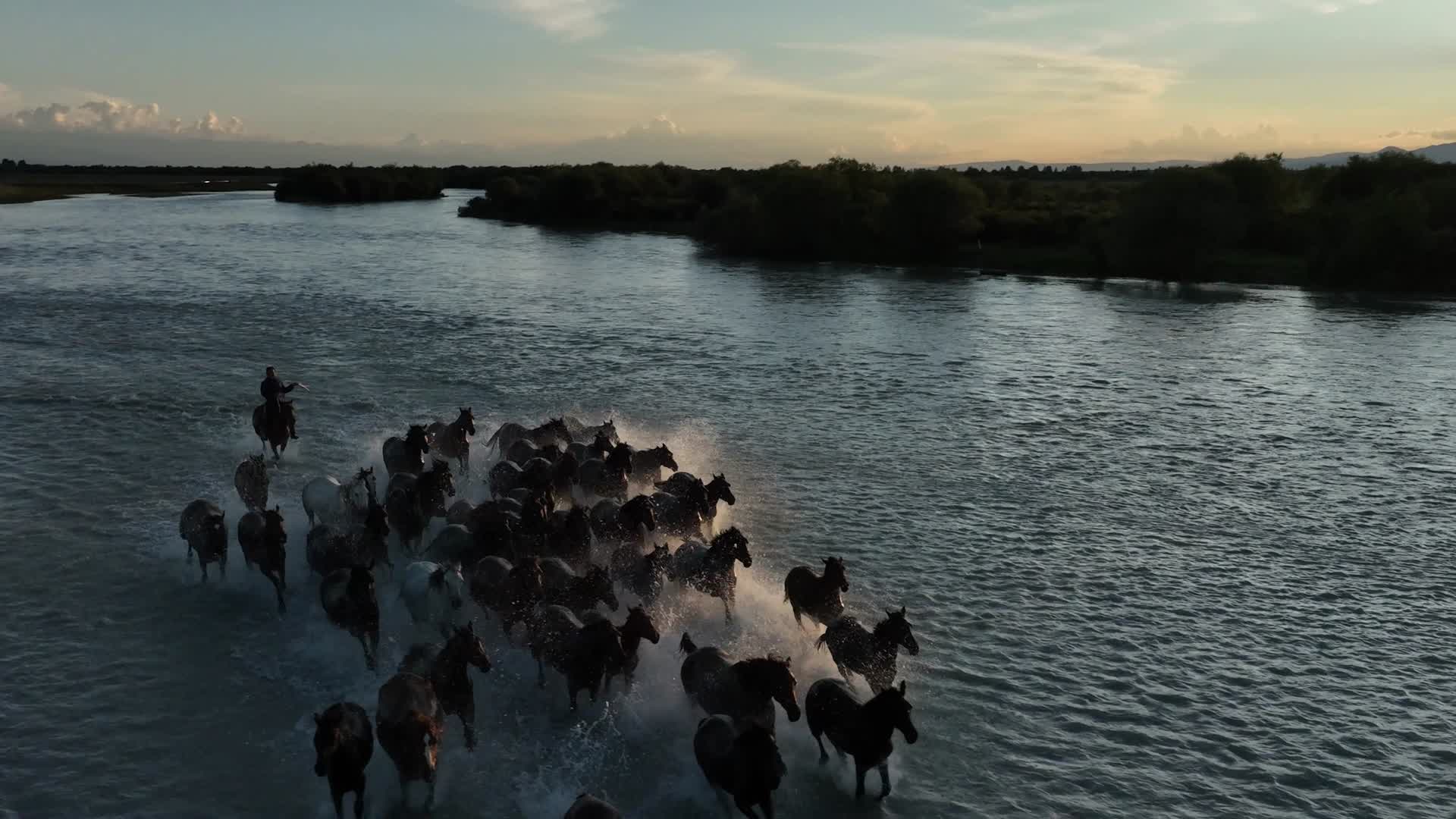 天马浴河河流马匹森林航拍风景视频的预览图