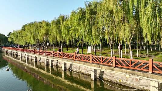 岳阳南湖公园视频的预览图