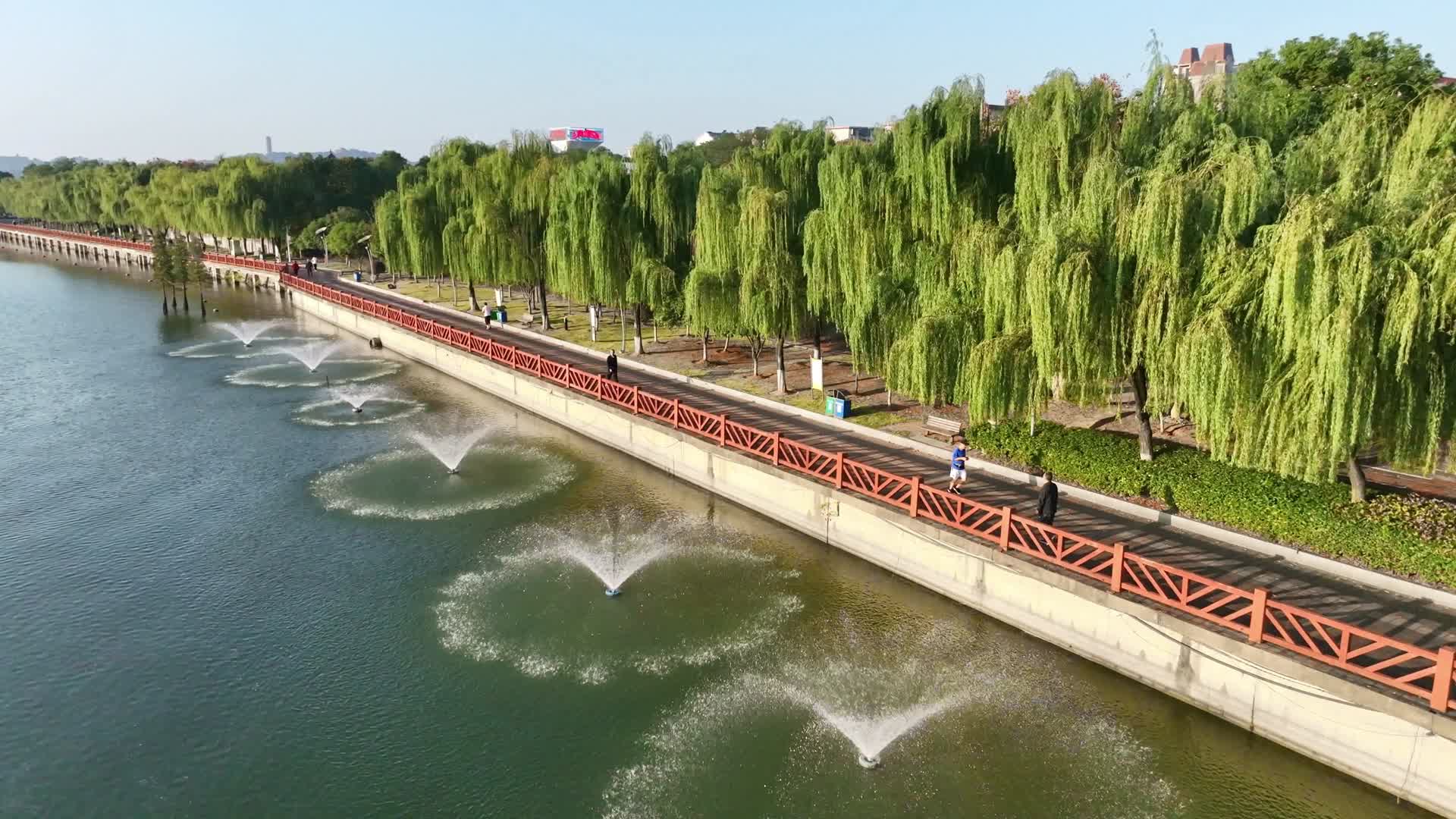 岳阳南湖公园视频的预览图