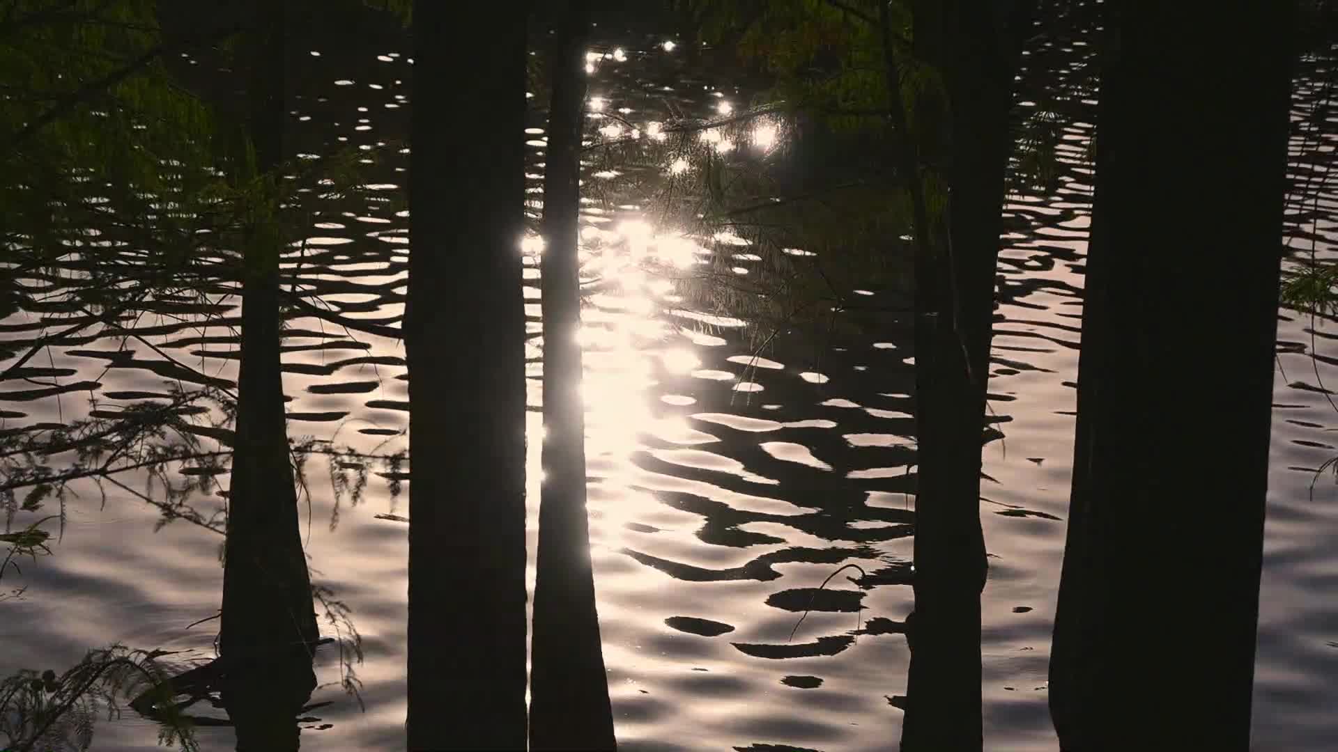 逆光下水面反射的落日余晖视频的预览图