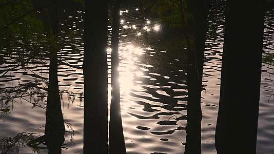 逆光下水面反射的落日余晖视频的预览图